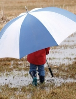 Mandated Reporting Requirements photo